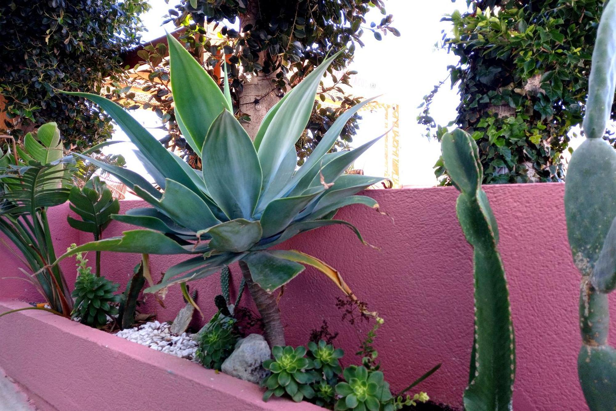 Hostal Boutique Bajío El Pozo de los Frailes Exterior foto